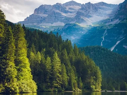 Peace Throughout The World - A Practical Prayer