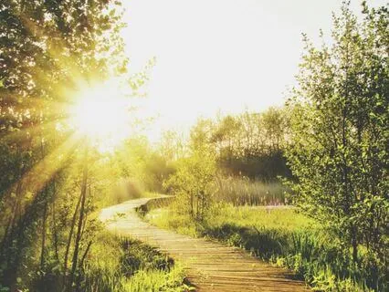 Peace Trail: Full Body Relaxation And Inner Peace