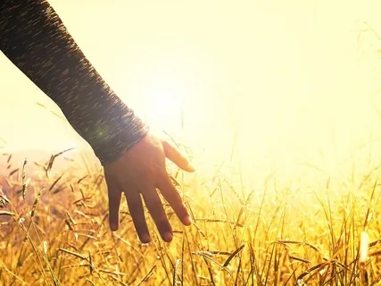 Peace, Tranquility & Healing