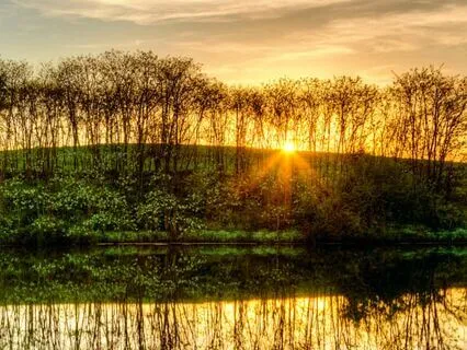 Peace Transmission + Guided Practice