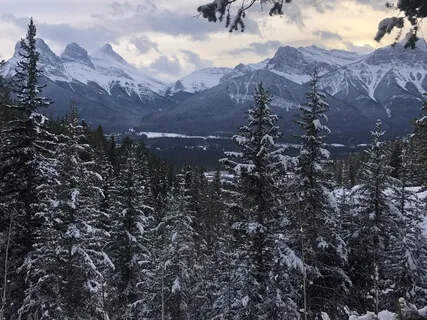 Peace Unity Meditation 