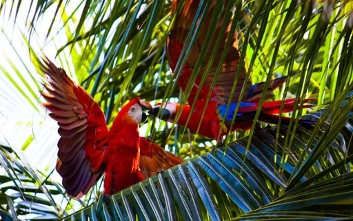 Peace When We Let Go Of Our Self-Improvement Projects