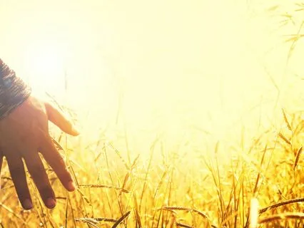 Peace Within And Around Me