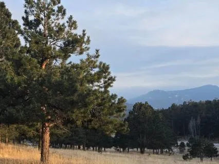 Peace Within, Peace Beyond