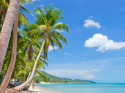 Peaceful 3 Minutes Pause