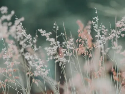 Peaceful Affirmations 