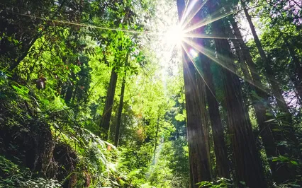 Peaceful & Inspired - Magical Piano