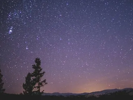 Peaceful Before Bed: Delta Dreamland