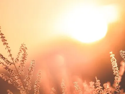 Peaceful Binaural Breathing Music