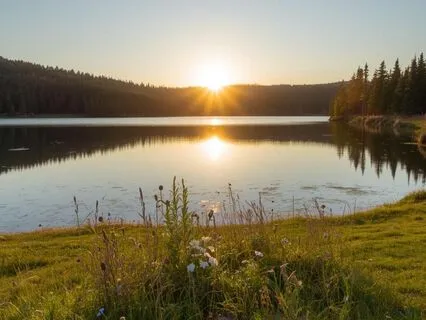 Peaceful Breath Awareness For Stress Relief