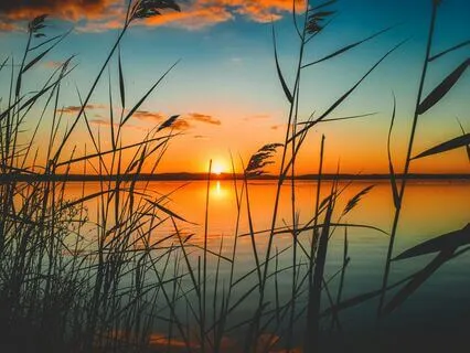 Peaceful Breaths - A Guided Practice For Relaxation