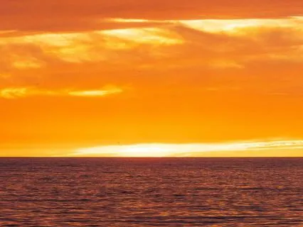 Peaceful Cello Music For Relaxing And Deep Sleep (12h)