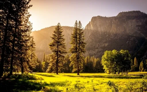 Peaceful Cello (Nov Live 2021)