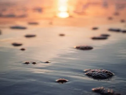 Peaceful Cello & Violin Music