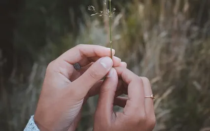 Peaceful Emotional Piano To Heal Mind & Body