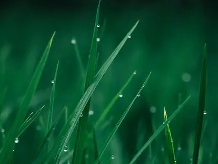 Peaceful Energy - Healing Vibration 432+639 Hz