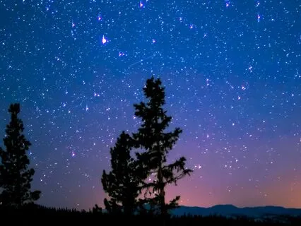 Peaceful Evening Relaxation