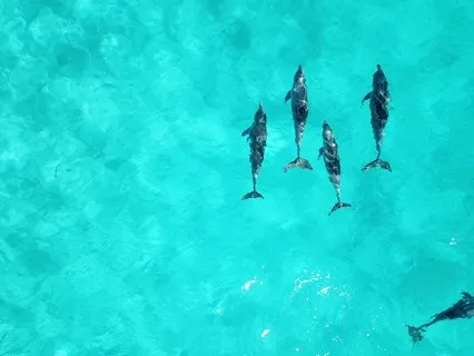 Peaceful Focus With Awareness