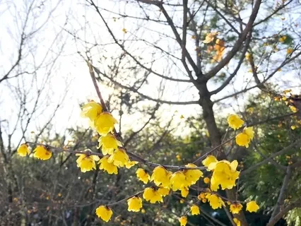 Peaceful Guitar, Flute & Waves