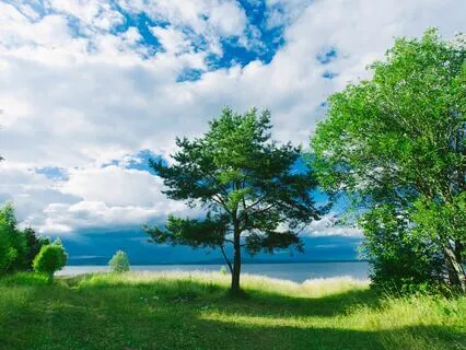 Peaceful Harmony: Release The Day's Stress