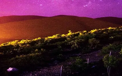 Peaceful Healing Chant - Heal While Sleep