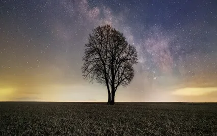 Peaceful Healing Music - 528Hz