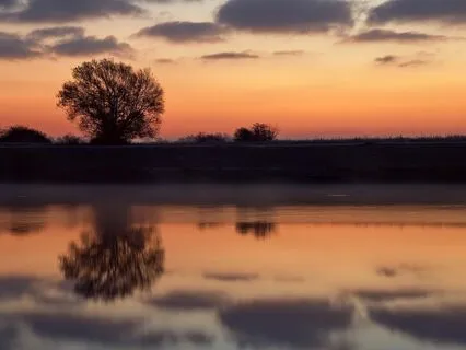 Peaceful Healing
