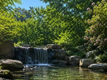 Peaceful, Healthy Relationships - Daily Reset