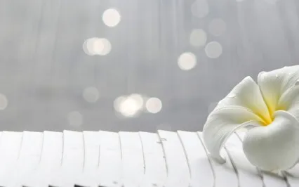 Peaceful Heart Guided Meditation 