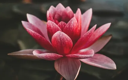 Peaceful Heart Meditation