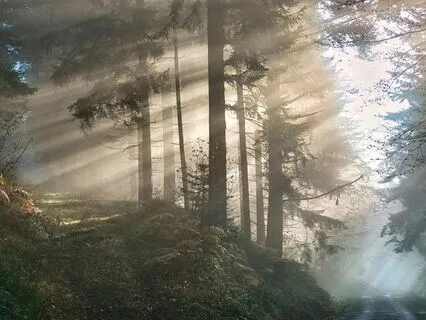 Peaceful Heavenly Healing Music - 528 Hz