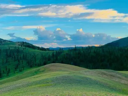 Peaceful Hills