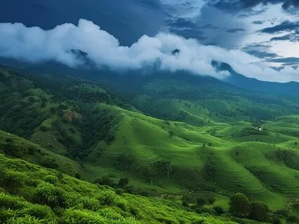 Peaceful Lowland Nights: ASMR With Rain And Tabla Rasa