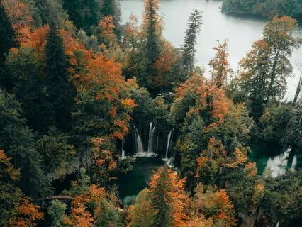 Peaceful Meditation Journey To Heal Anxiety