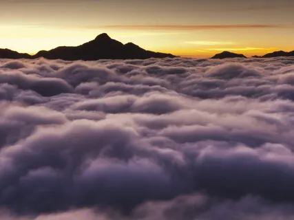 Peaceful Meditation Music For Sleep Music, Healing & Yoga