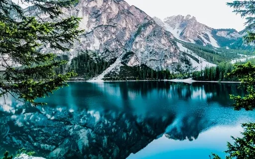 Peaceful Mind ( Live) 2021