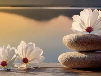 Peaceful Mindscape – 10 Hz Binaural Alpha Beats