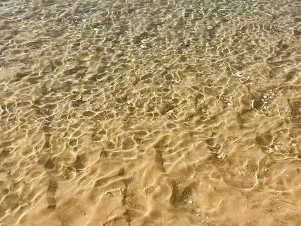 Peaceful Morning Beach Music Meditation & Relaxation