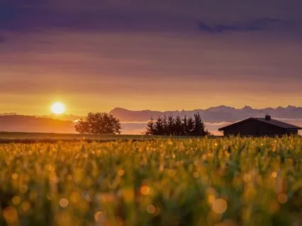 Peaceful Morning Flutes At 432 Hz