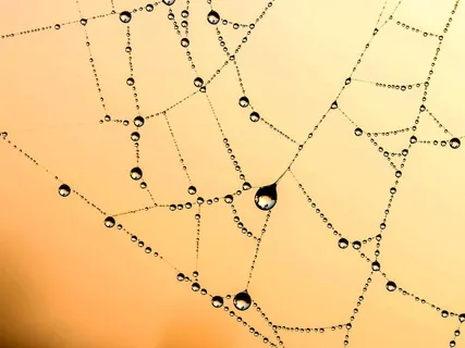 Peaceful Morning (Handpan music)