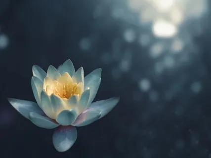 Peaceful Morning Ritual