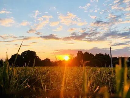 Peaceful Morning - Rise With Gratitude