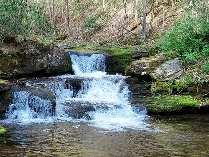 Peaceful Mountain Stream With Delta Waves