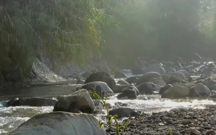 Peaceful Mountain Stream