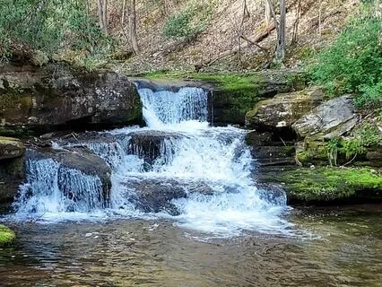 Peaceful Mountain Stream