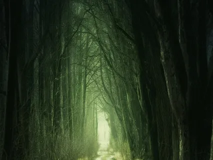 Peaceful Music For Stress Relief