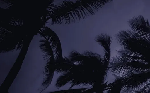 Peaceful Nature Atmospheres: 30 Minutes Of Wind 