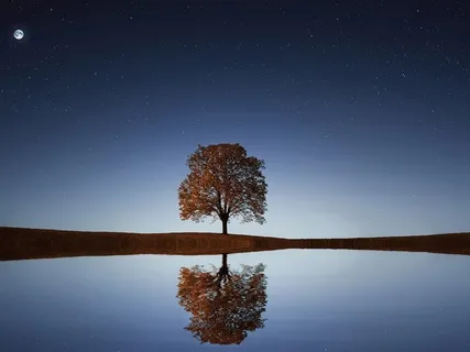 Peaceful Night's Sleep