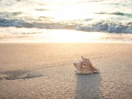 Peaceful Ocean Meditation Journey