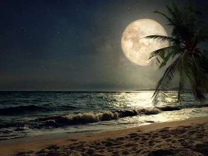 Peaceful Ocean Waves Sleep Relaxation